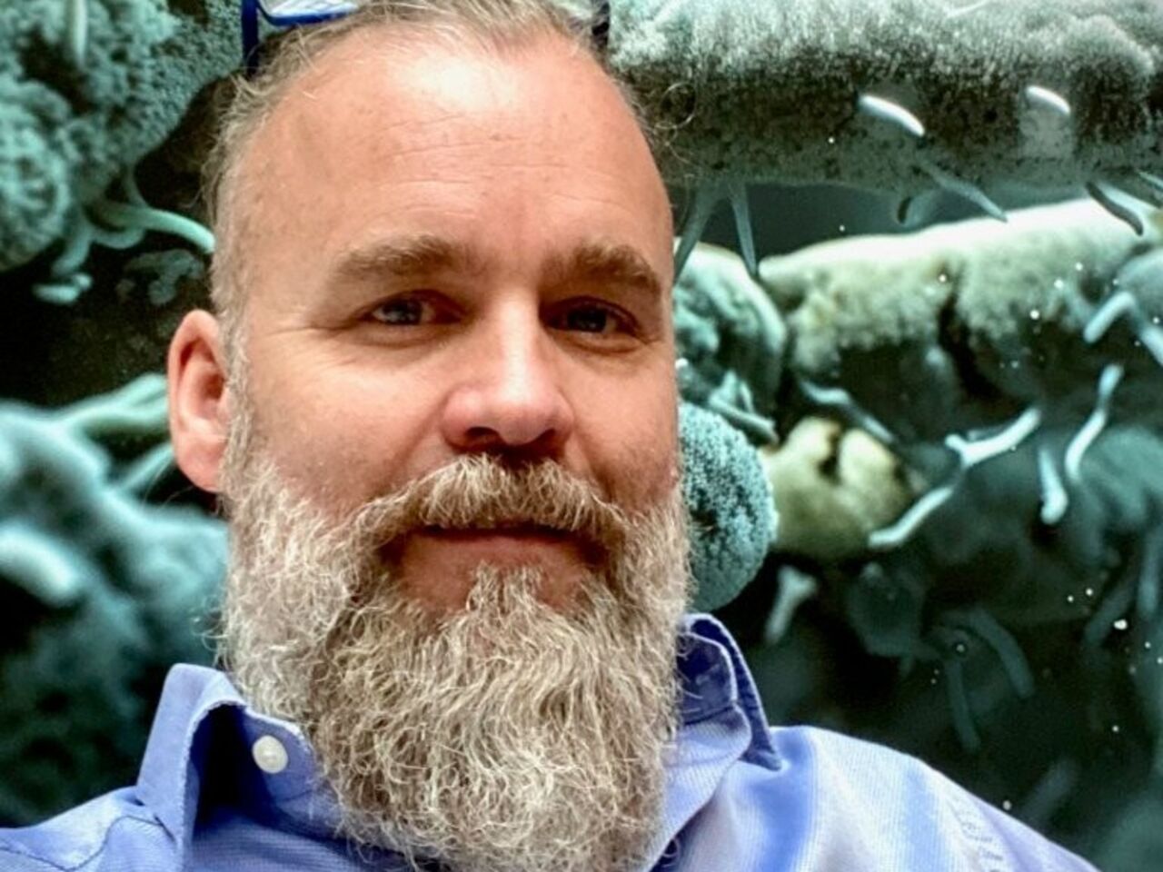 «Bausektor verdient Anerkennung»